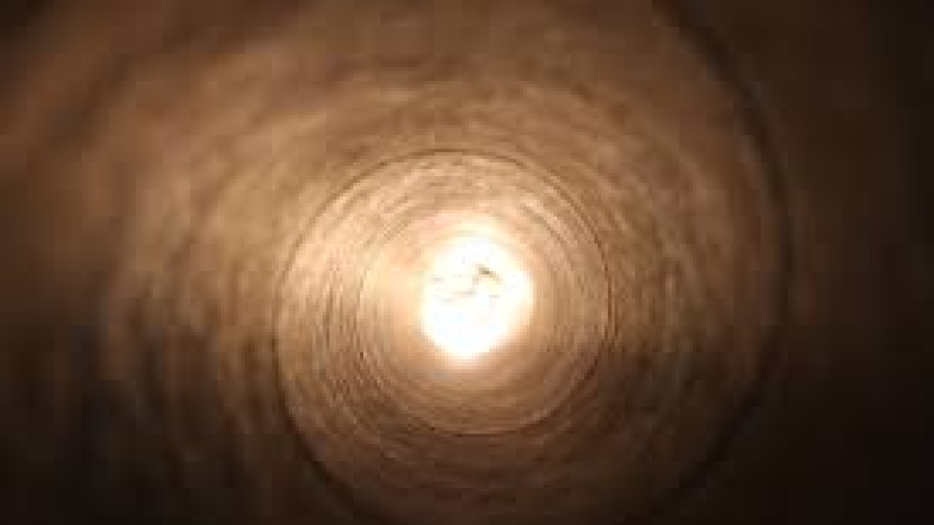 Álex Gómez-Marín, el neurocientífico que vivió una experiencia cercana a la muerte: 