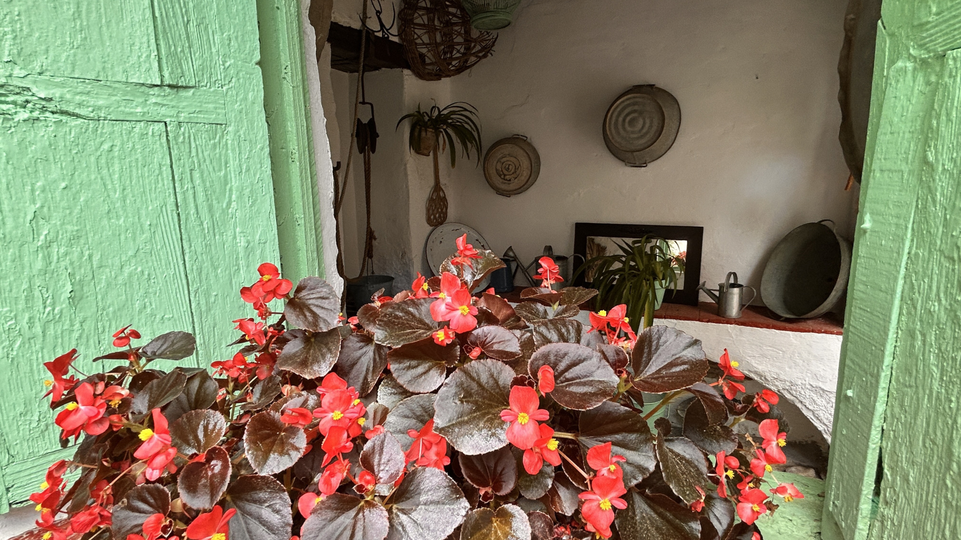 Un paseo por la Córdoba más auténtica a través de sus rincones en flor