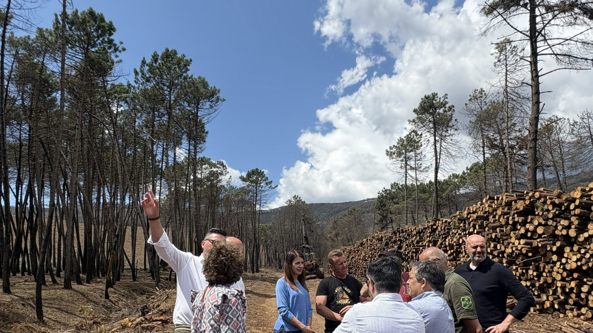 Medio Rural avanza en los trabajos de retirada de madera quemada en zonas afectadas por los incendios forestales del pasado verano