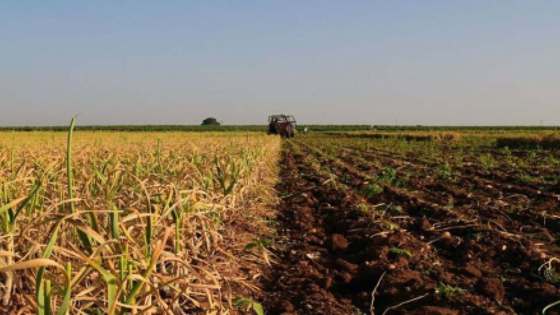 Estos son los nombres del nuevo equipo de la Consejería de Agricultura en Extremadura