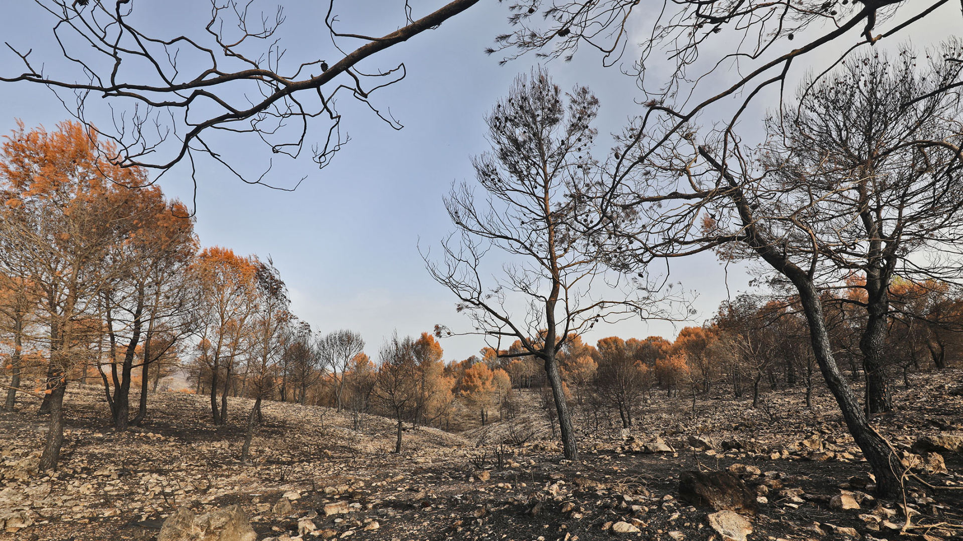 Alicante refuerza la lucha contra los incendios ante el riesgo en los montes este verano