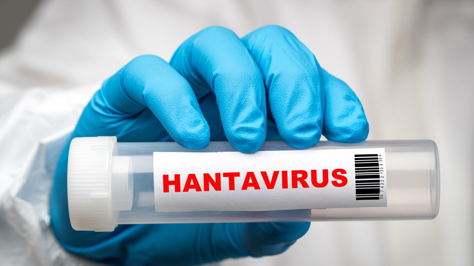 Castilla-La Mancha activa protocolos de prevención frente al hantavirus pese a no tener casos sospechosos