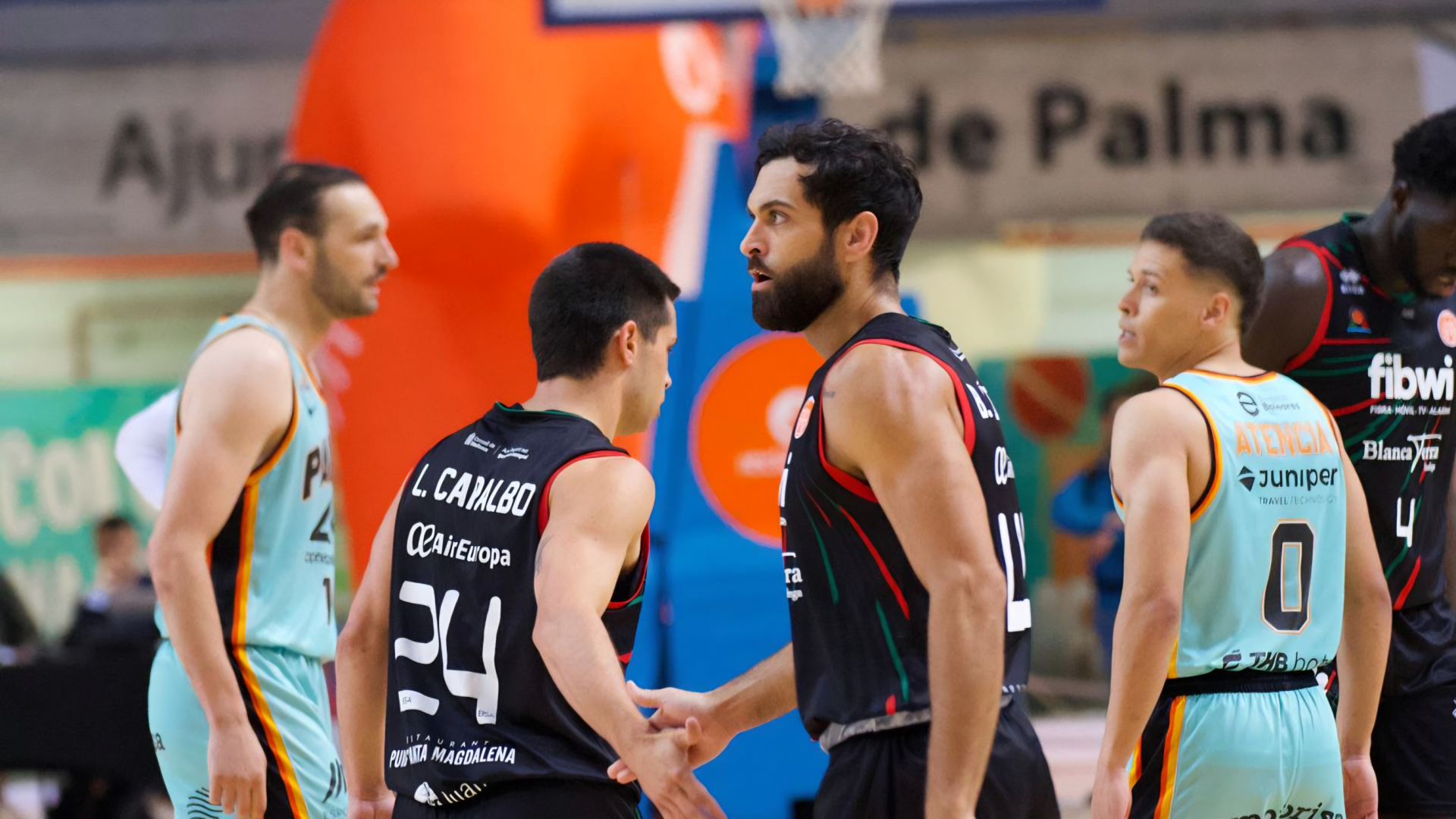 Los dos equipos mallorquines siguen en Primera FEB: el Fibwi Mallorca se gana la continuidad y el Palmer se salva gracias al Tizona