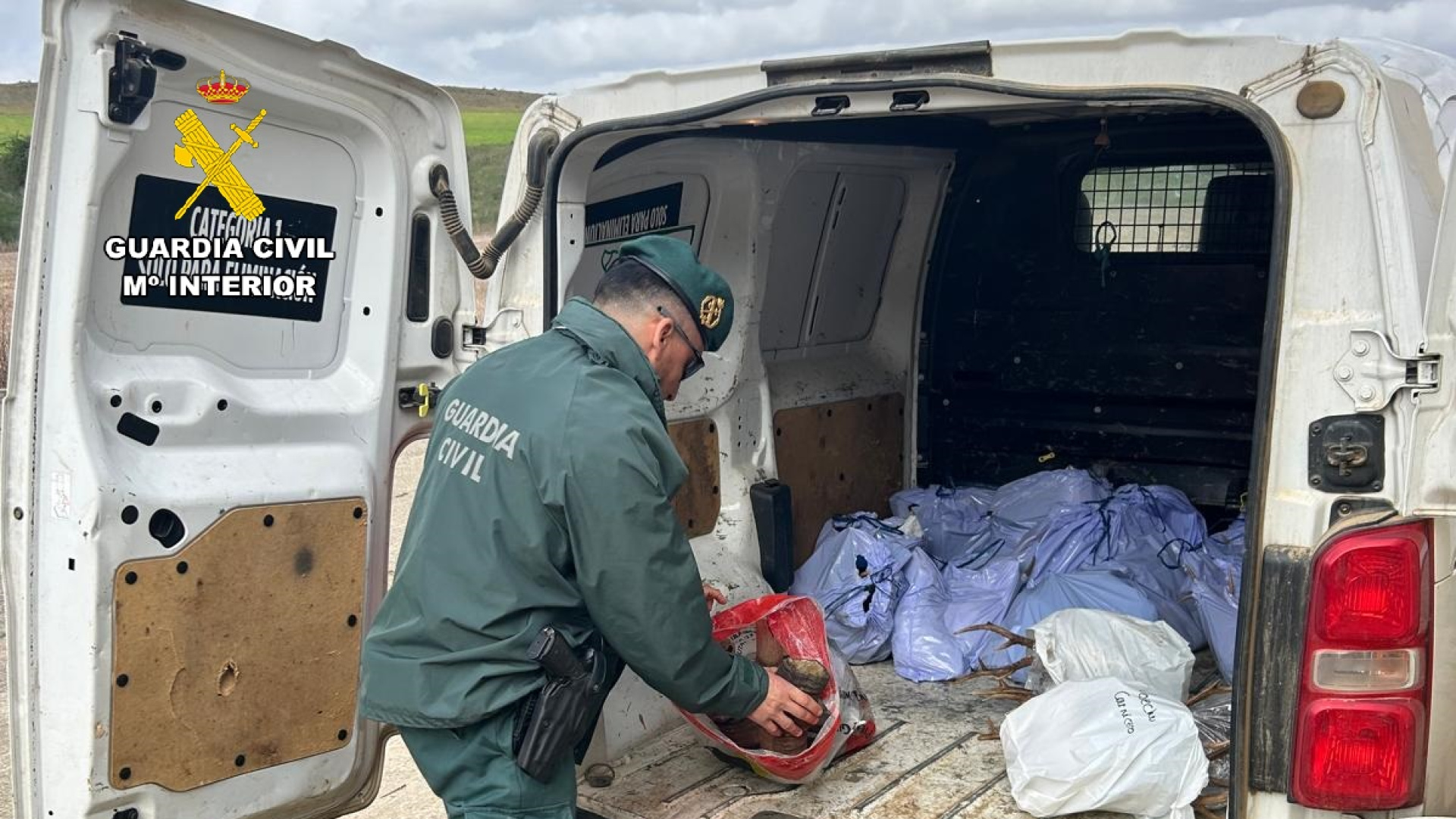 Hallan 87 trofeos de caza ilegales en un taller clandestino en la Montaña Palentina