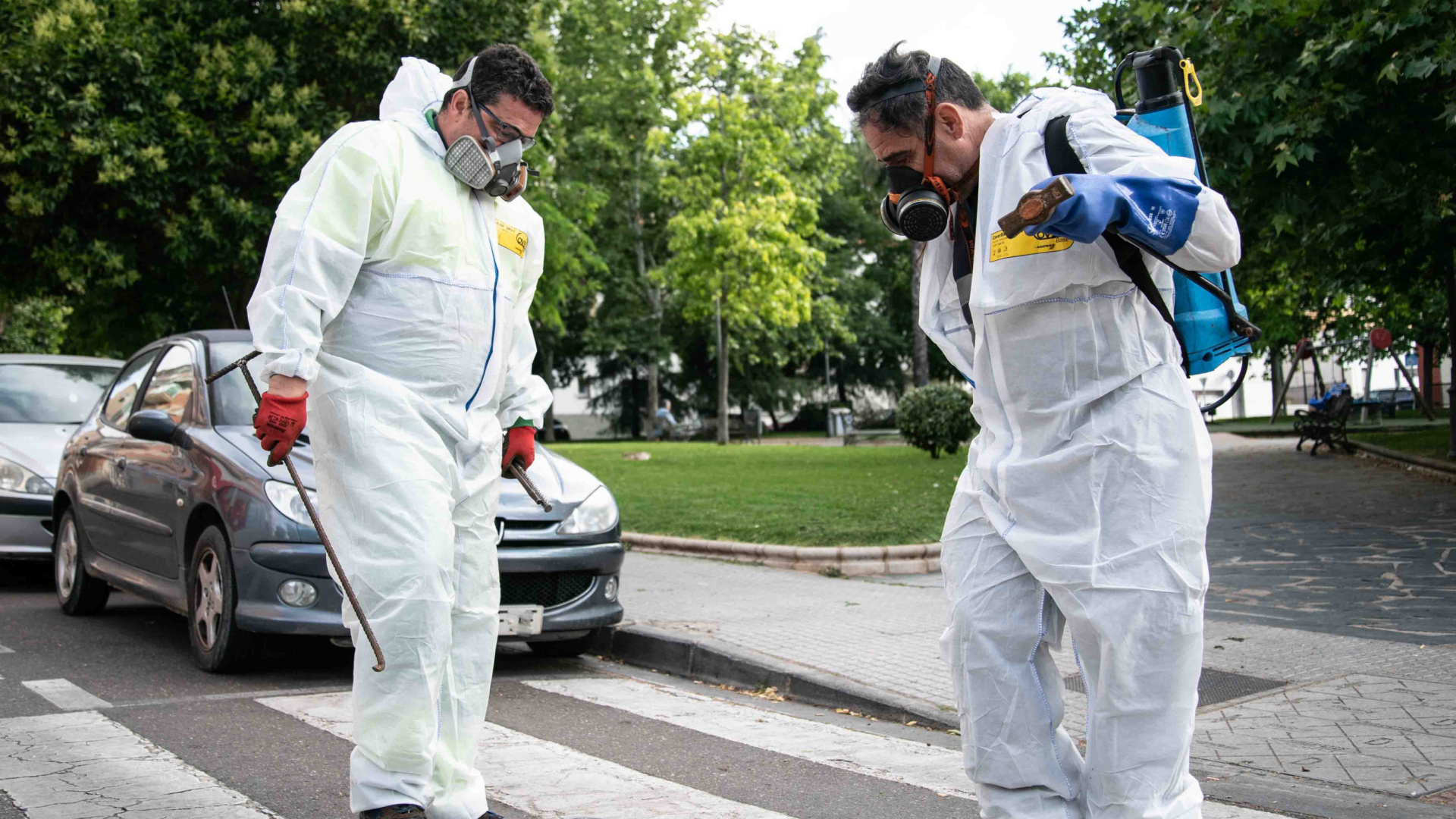 Mérida activa un plan de choque contra las ratas en todos sus barrios