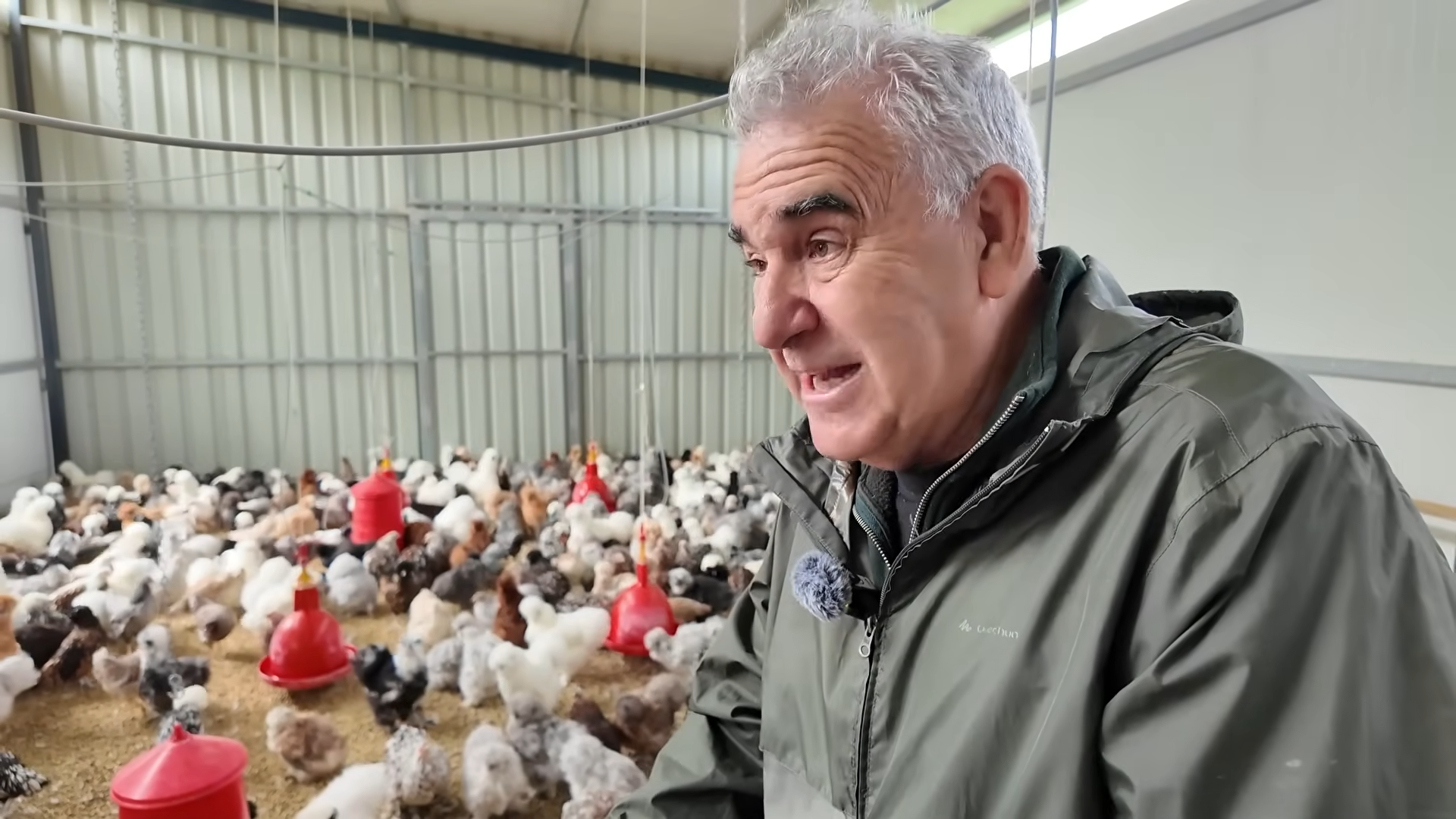 Ramón Barbado, empresario avícola: 