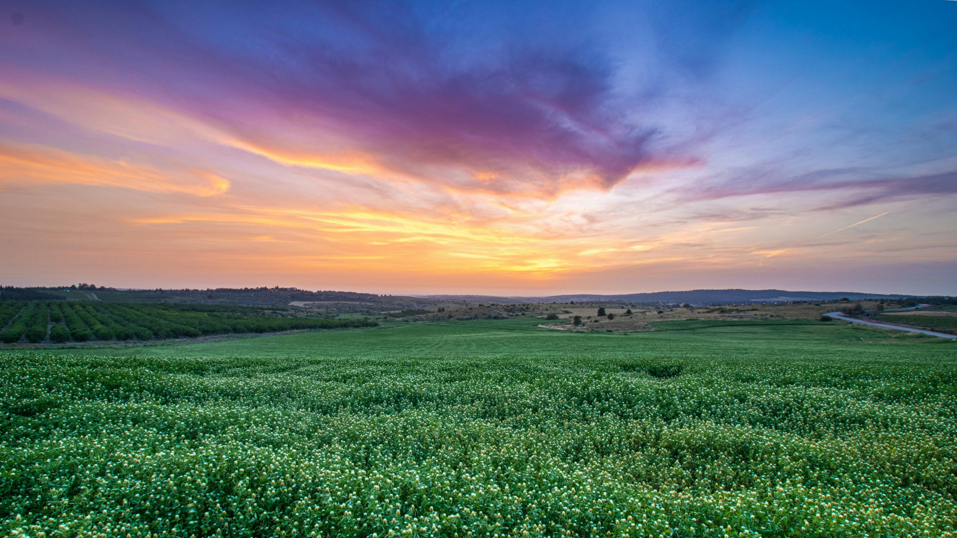 Por qué los atardeceres de primavera parecen más espectaculares: la ciencia detrás de sus colores intensos