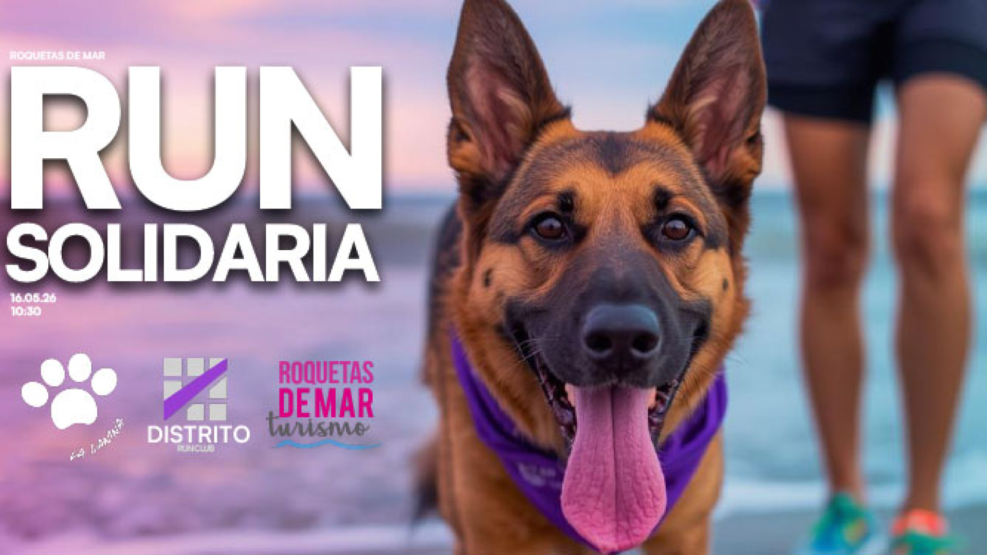 Roquetas de Mar se prepara para su carrera más animal: deporte, música y solidaridad en la I Social Run