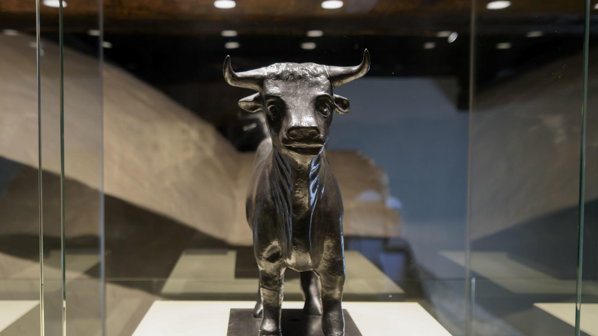El Torico original estrena su nueva casa en el Museo Provincial de Teruel