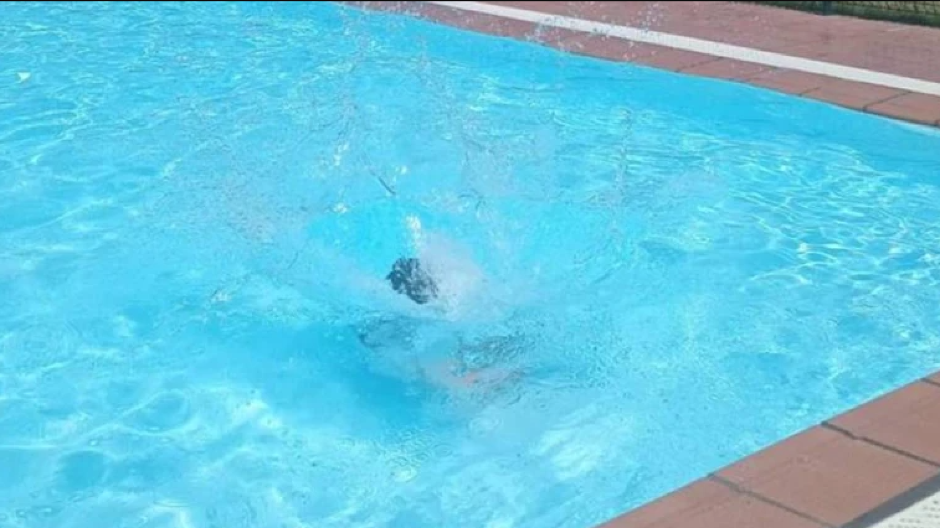 La Rioja se prepara para el verano: puesta a punto de más de 5.000 piscinas