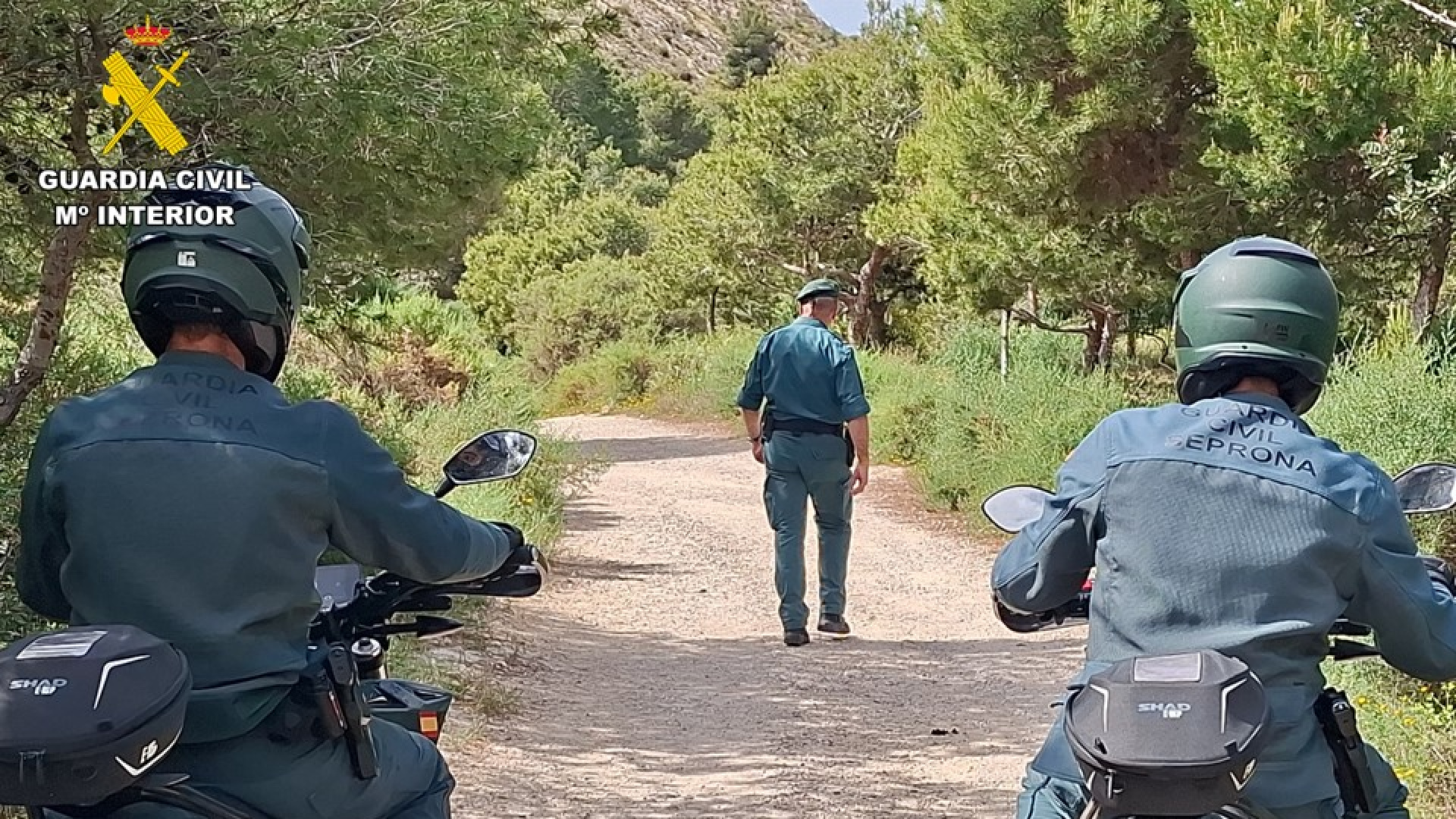 Investigan al presunto pirómano que provocó 24 incendios en la Serra Grossa de Alicante