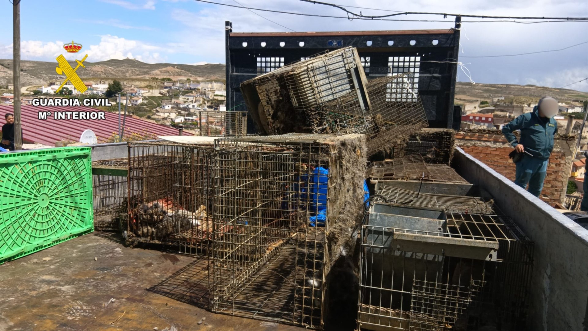 Este es el lamentable estado en el que tenía a sus animales en la localidad zaragozana de Épila: 