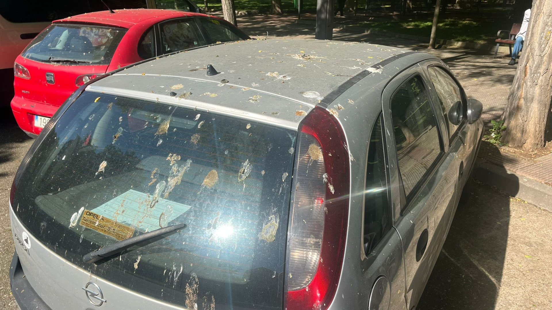 Emilio Ruiz, acerca de la sobrepoblación de palomas en Logroño: 