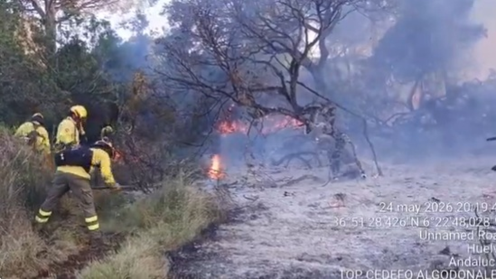 El incendio de Almonte sigue confinado mientras crece la sospecha de que fue provocado