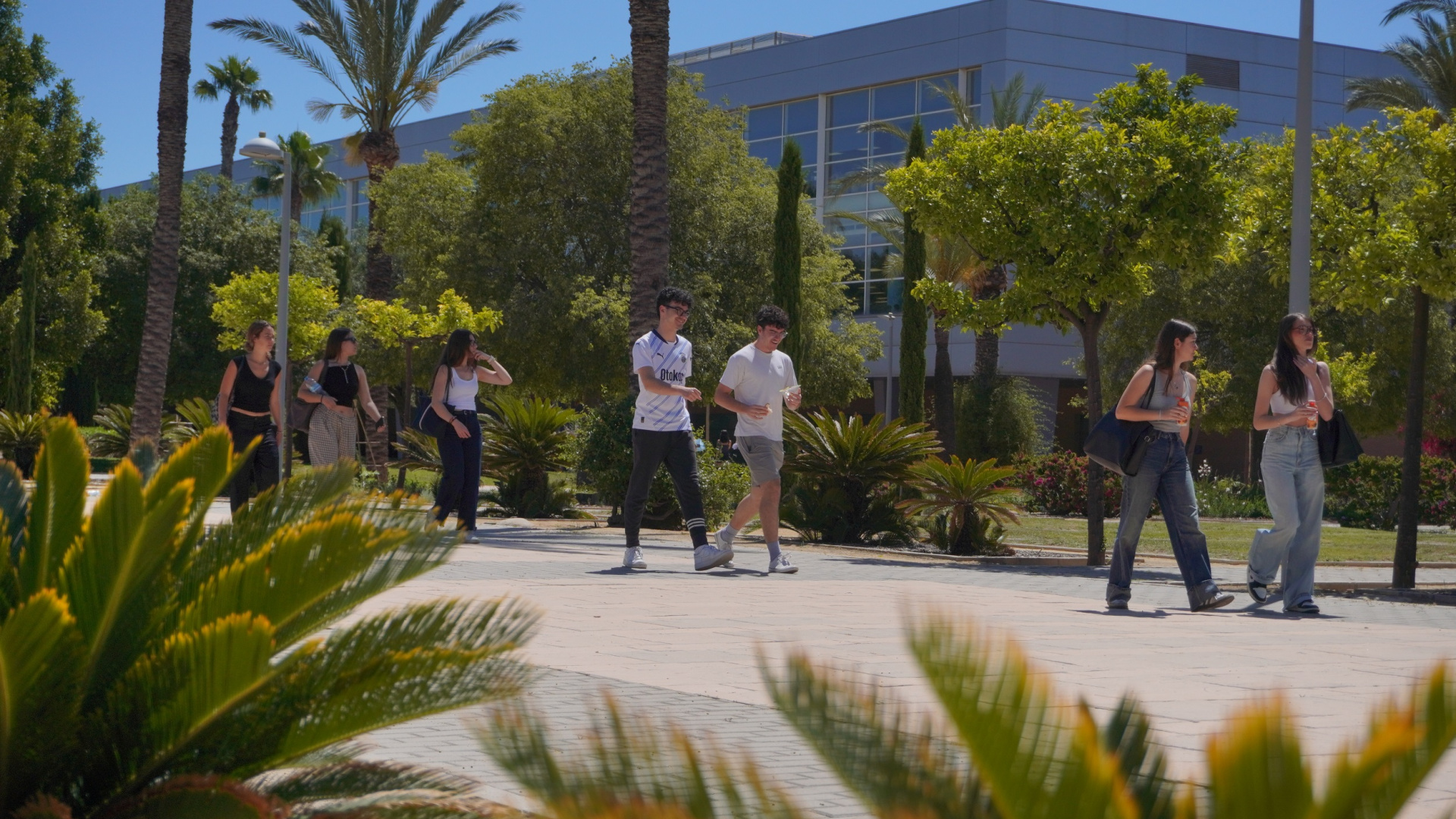 Un donante anónimo impulsa las nuevas becas de la Universidad de Alicante para que nadie se quede atrás