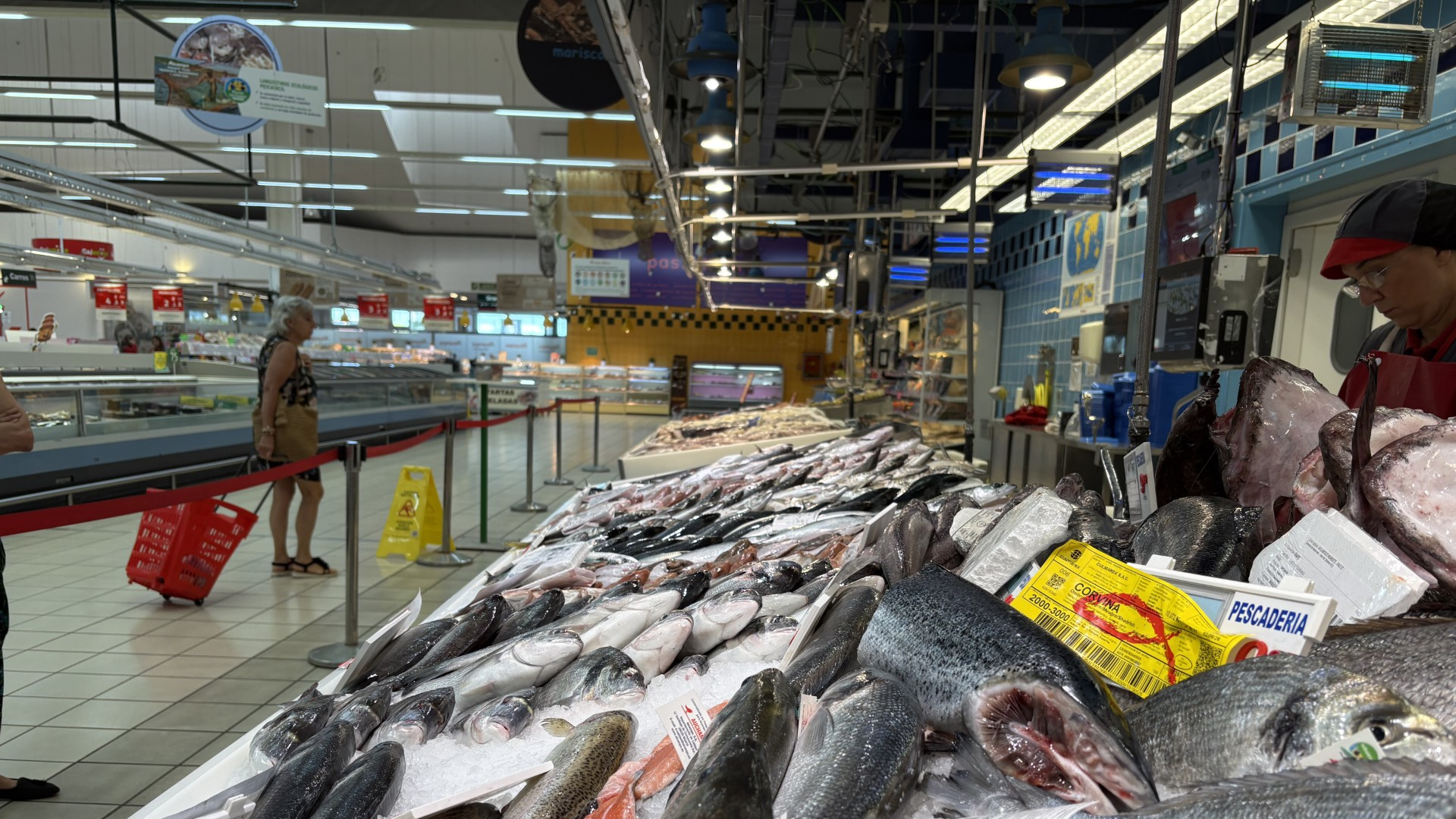 La OCU advierte: el pescado en bandejas va a susti
