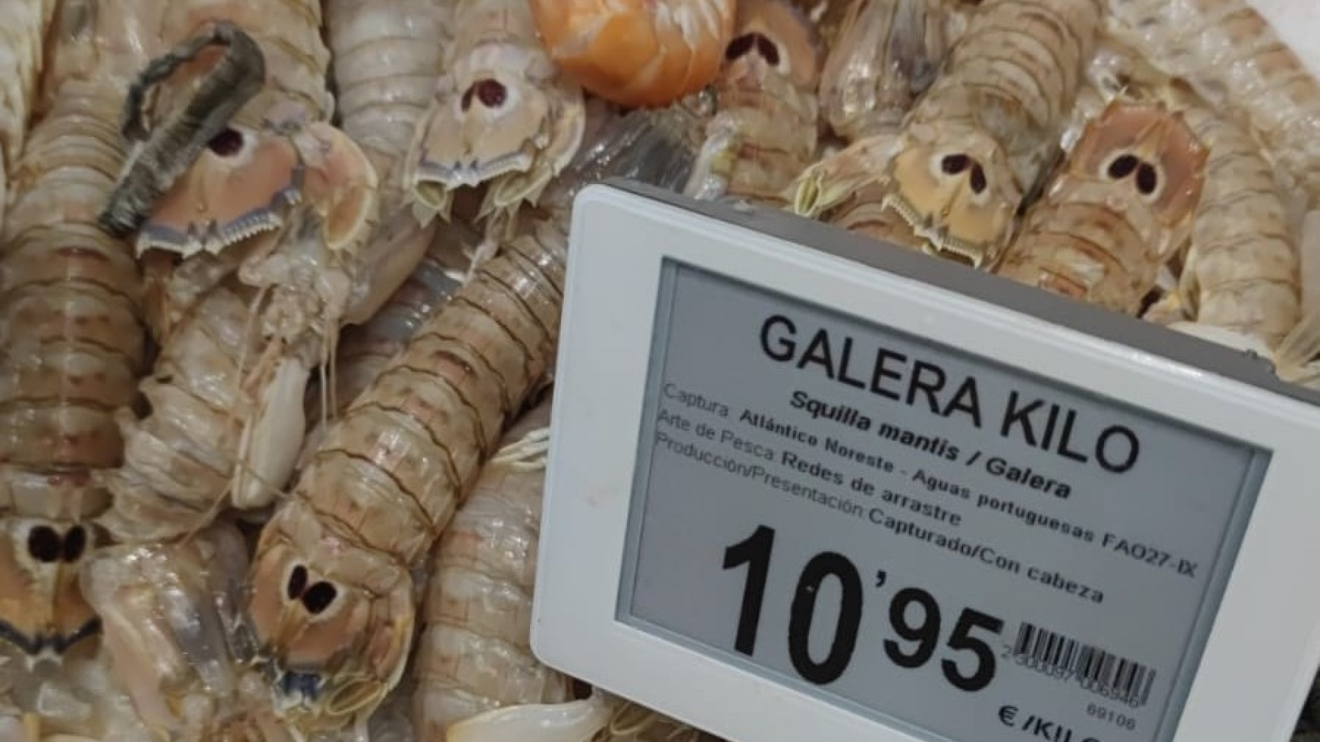 Globalización na peixería: ¿Probaches a galera ou o peixe cinta?