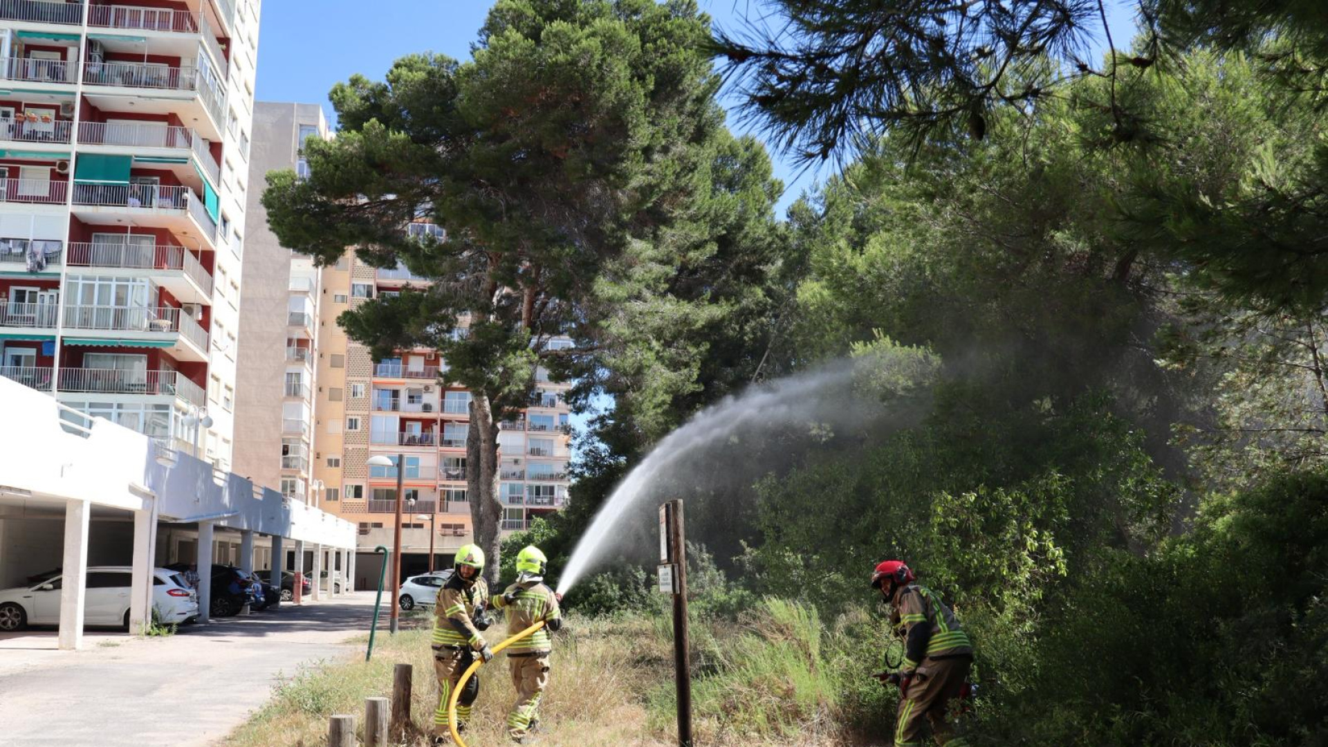Valencia se blinda contra el fuego con Alertes IV, la app que conecta a vecinos y bomberos