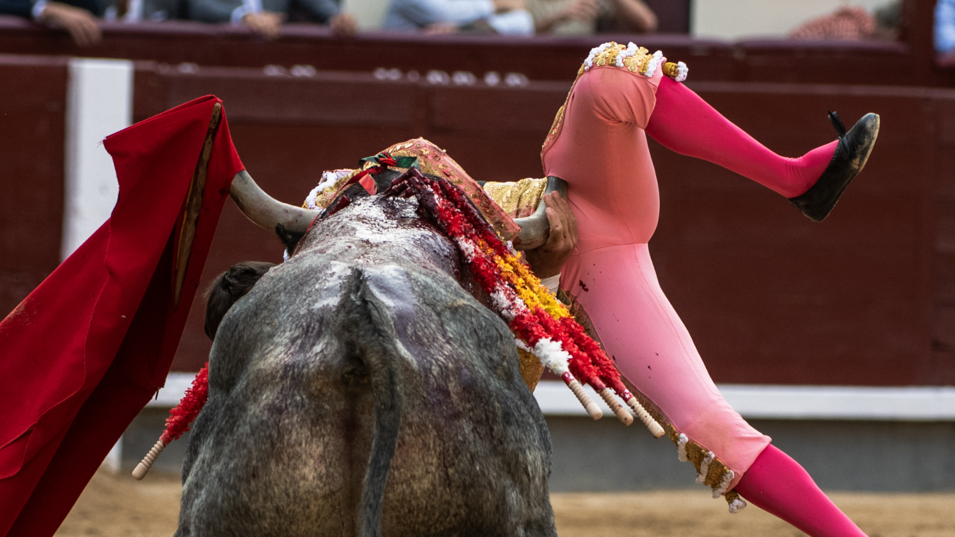 Paco Ureña, operado tras sufrir una grave cornada de dos trayectorias en Las Ventas