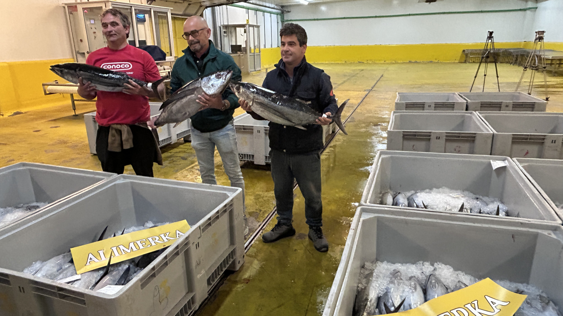 El primer bonito del norte de la temporada pulveriza todos los récords: 398 euros el kilo en Avilés
