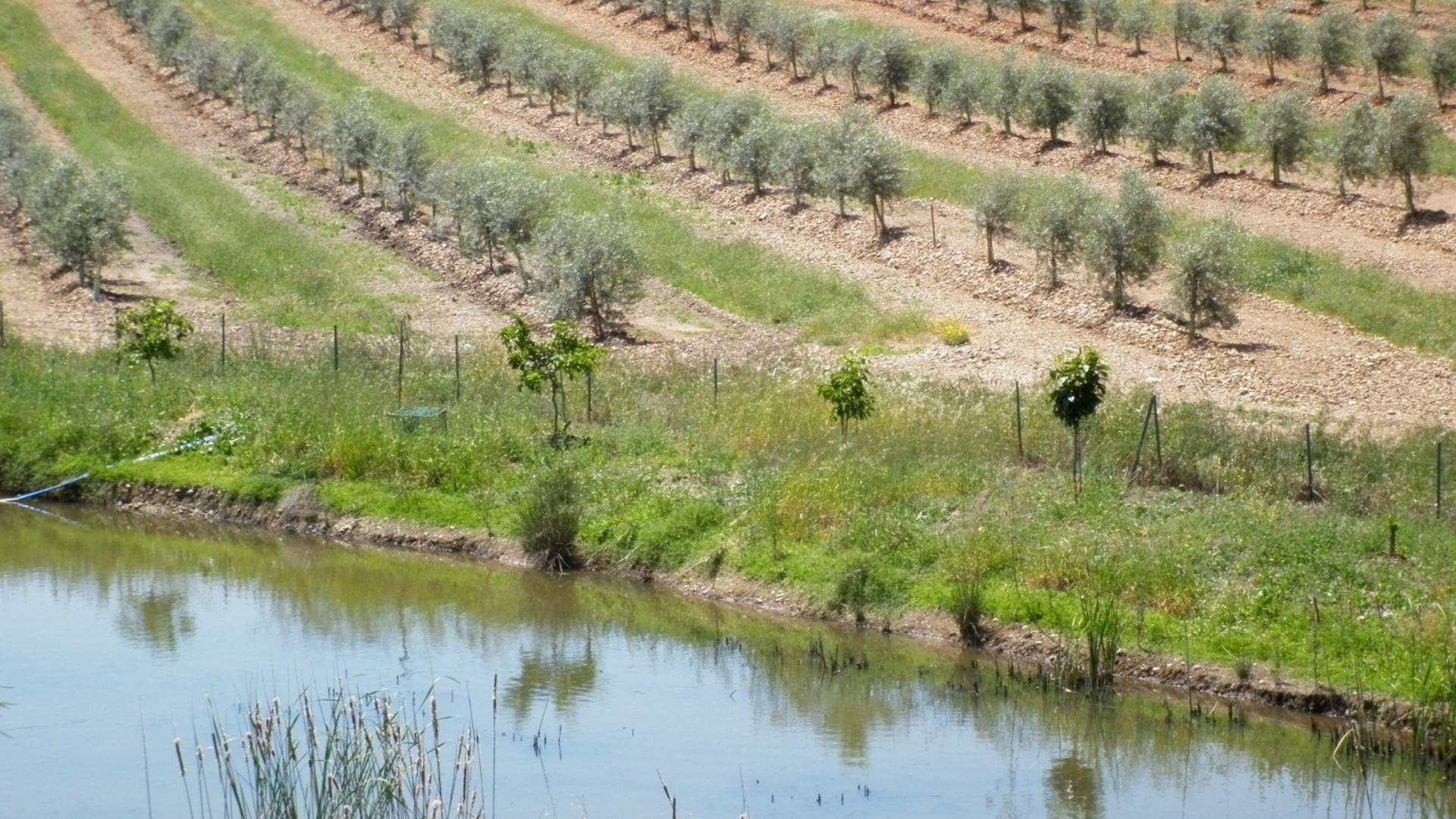 El Gobierno reactiva la presa de San Calixto para proteger de las inundaciones del Genil