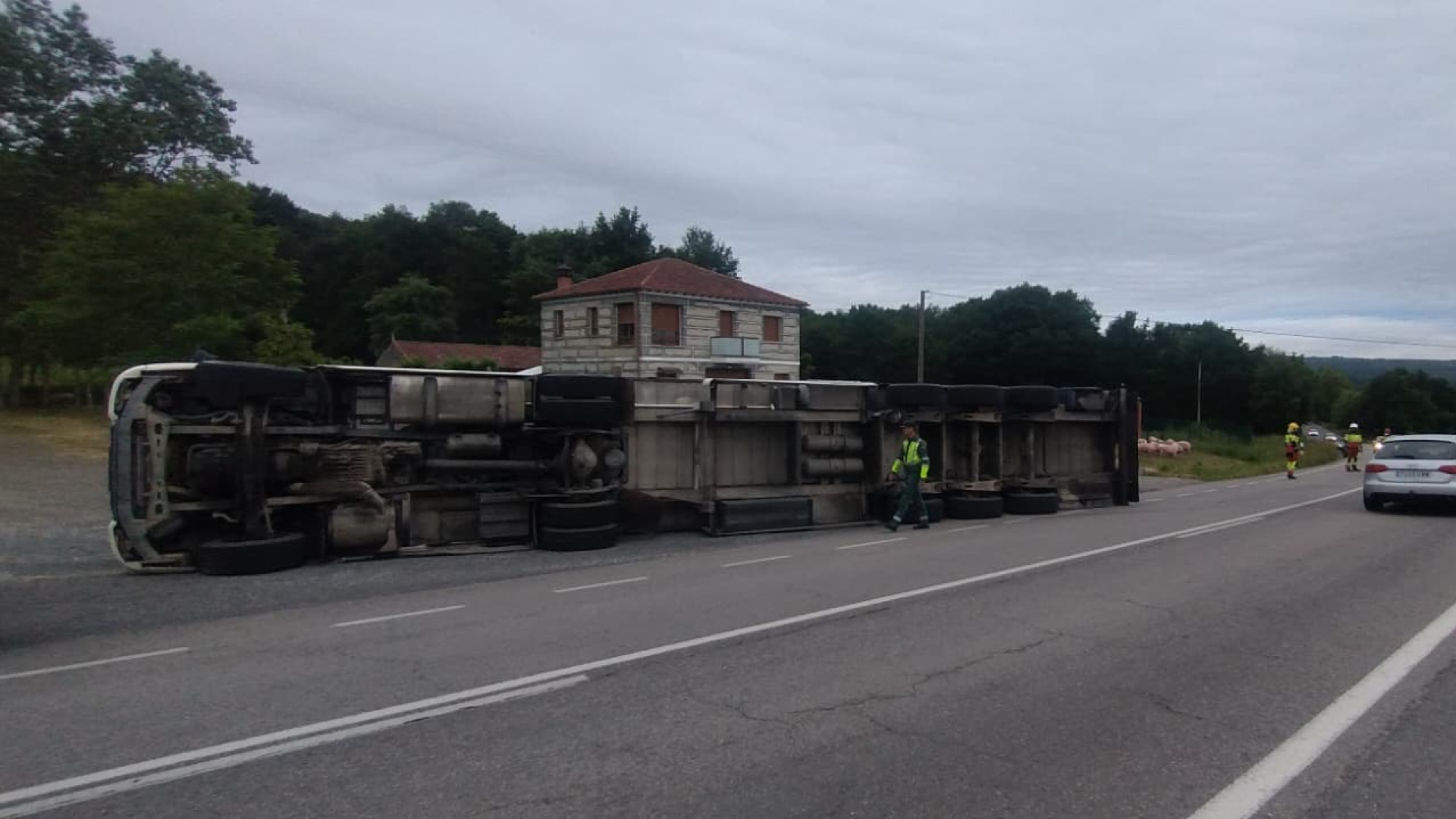 El conductor de un camión que transporta 180 animales se sale de la vía al realizar un cambio de sentido y vuelca en la N-525 en Sandiás (Ourense)
