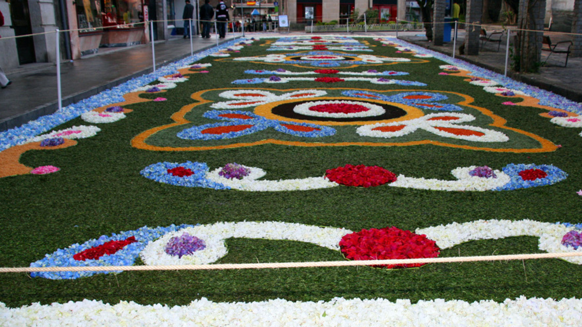 Una alfombra de flores de más de 1.000 metros que van a montar más de 180 personas: 