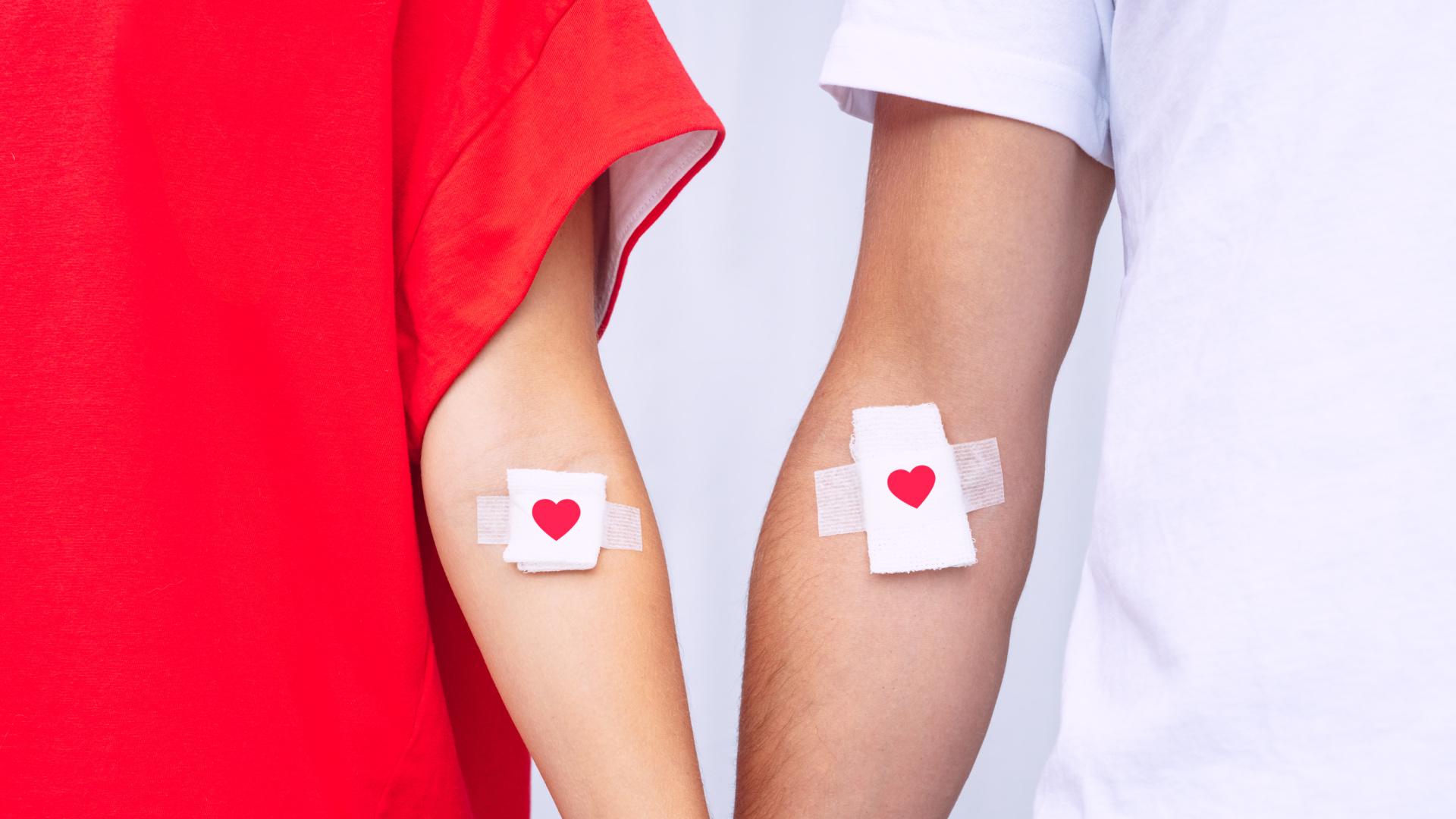 La Hermandad de Donantes de Sangre de Ávila celebra su día M