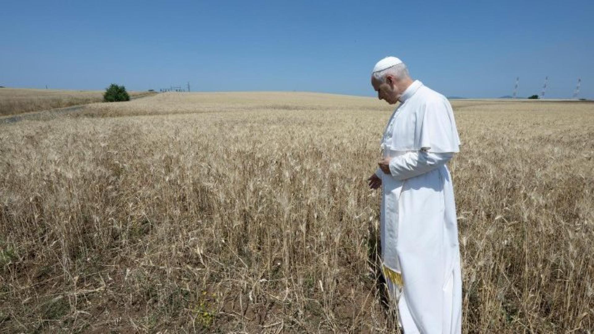2.000 jóvenes de Valladolid acompañarán al Papa León XIV en su primera visita a España: 