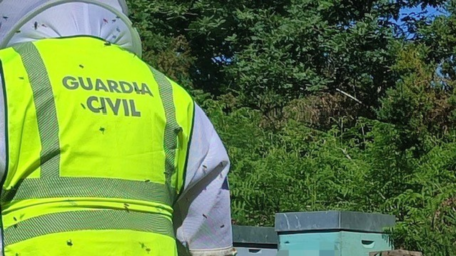 Investigado un vecino de Verea (Ourense) por robar 34 colmenas localizadas por los agentes en una finca de su propiedad