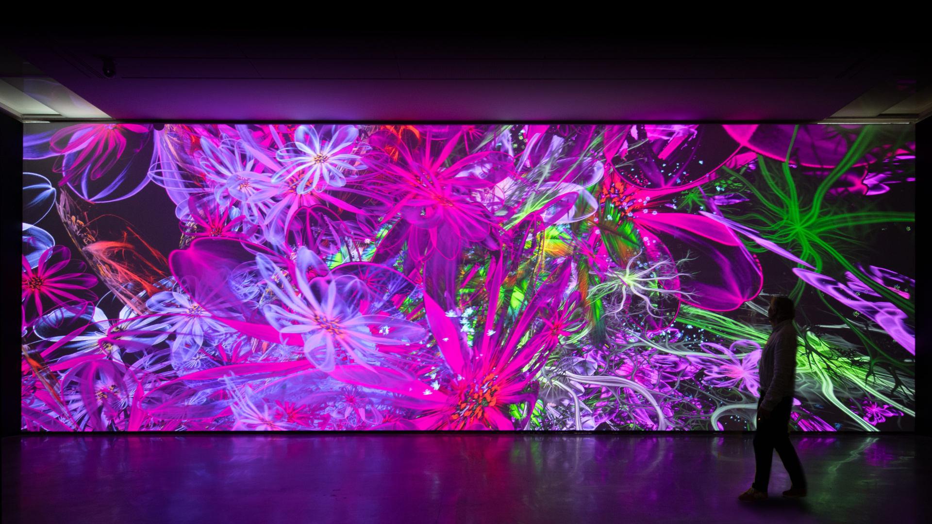 Un monumental jardín de flores digitales cobra vida con inteligencia artificial en Vitoria