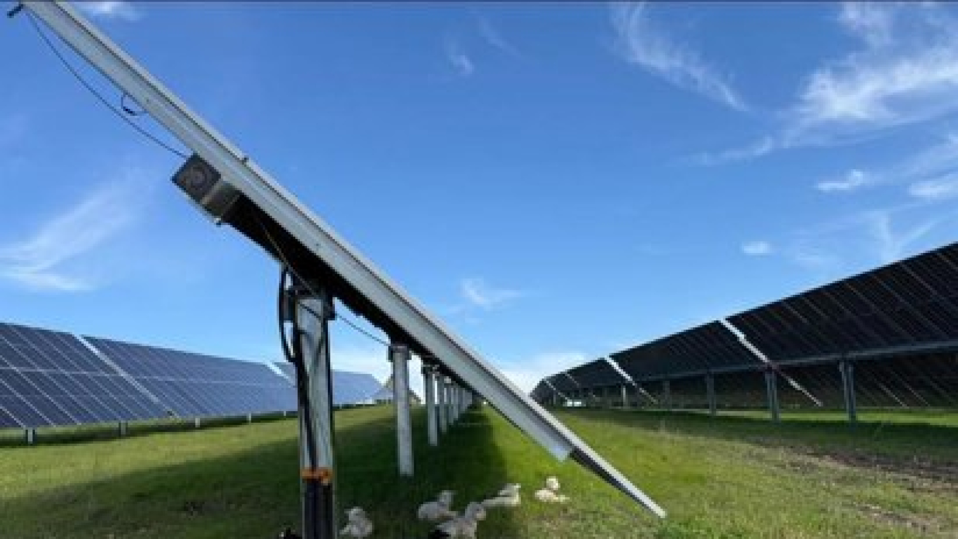 La paradoja de Almería: una potencia en energía limpia que no puede usar por falta de infraestructuras