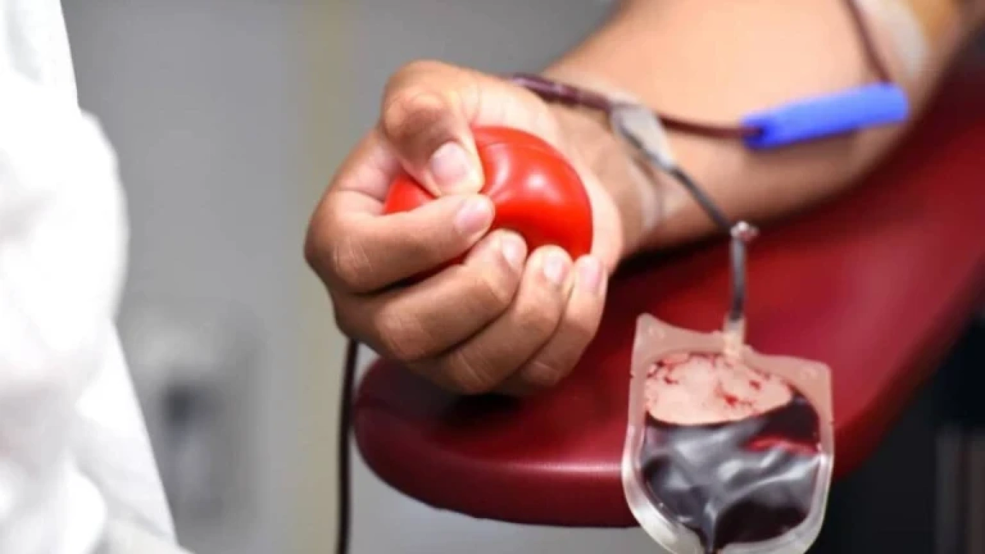 Alicante se moviliza por la vida: objetivo 500 donaciones en la gran maratón de sangre