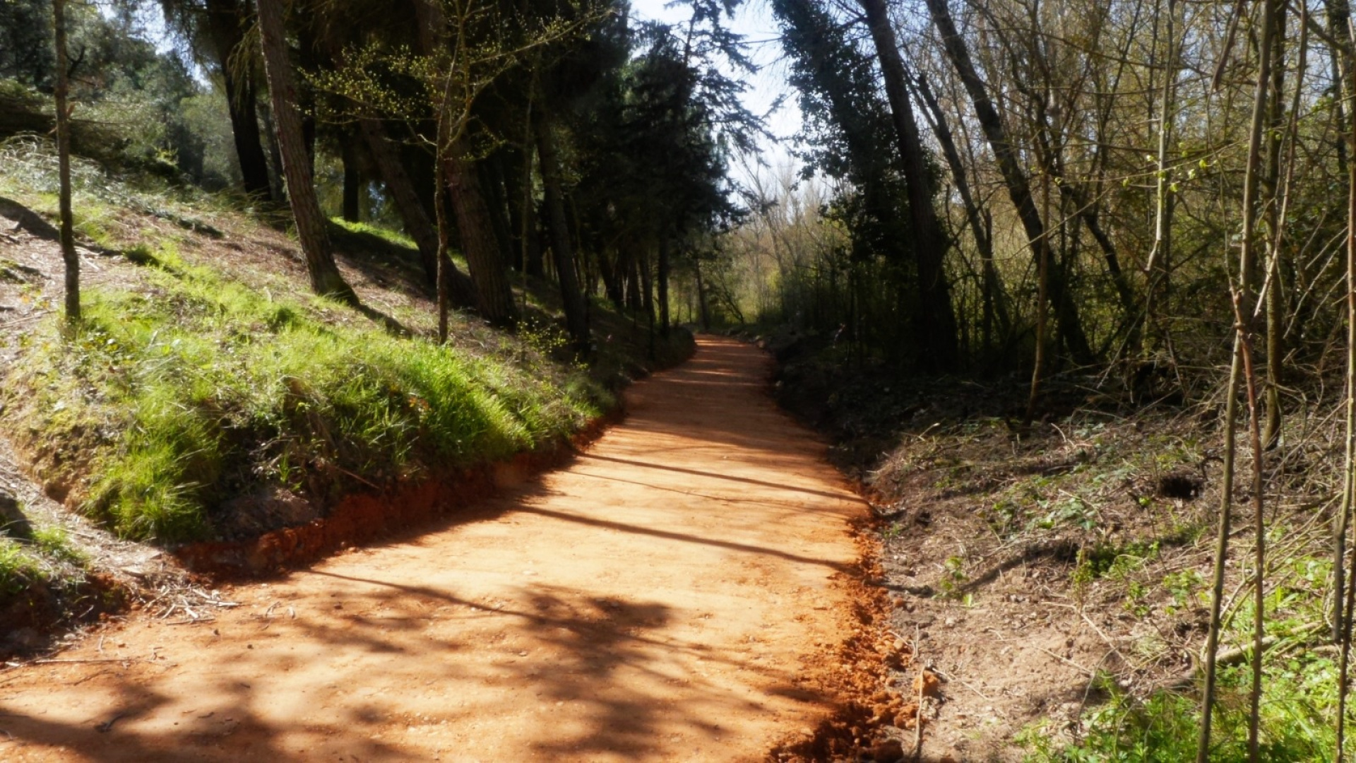 El pulmón verde de Zamora se transforma: más de 4.400 nuevos