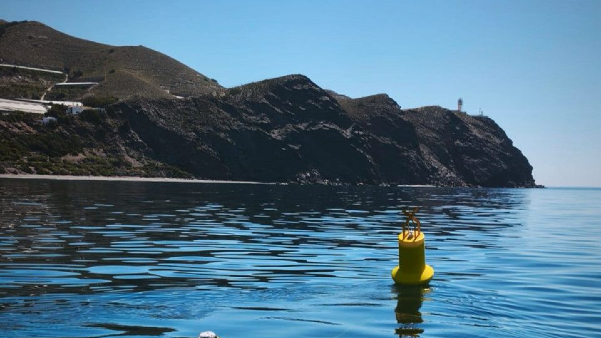 Motril se sitúa a la vanguardia de la investigación marina c