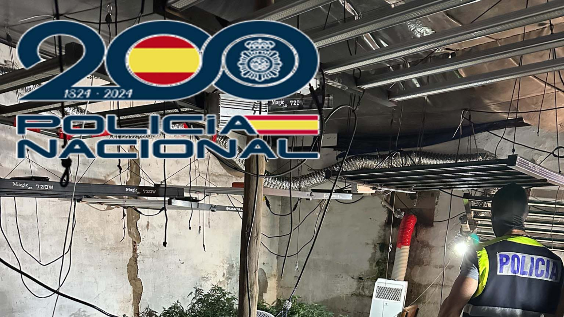 Golpe al tráfico de drogas en Mérida: desmantelan 