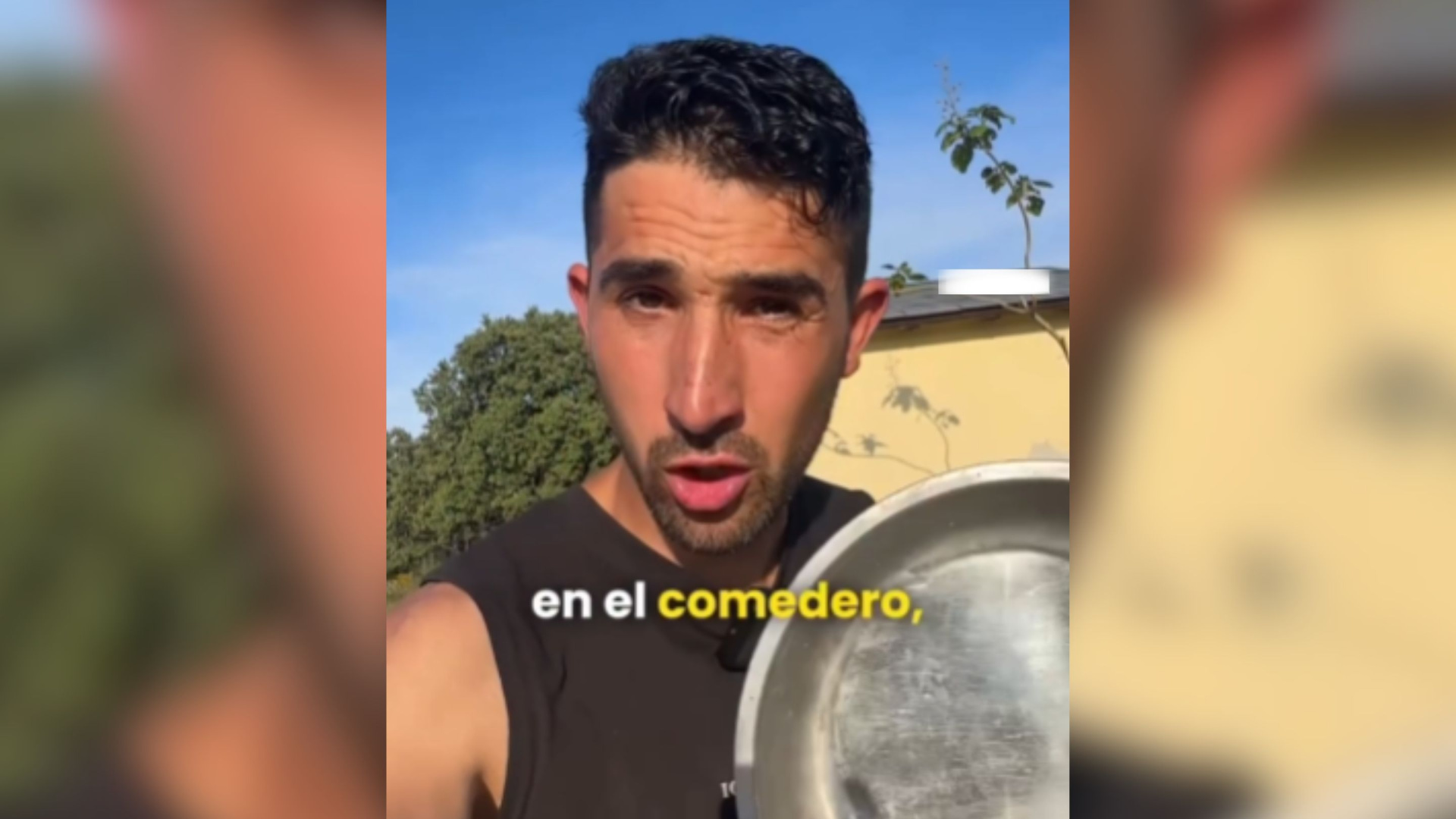 Alberto Sanz, adiestrador canino: "Si le das de comer a tu p