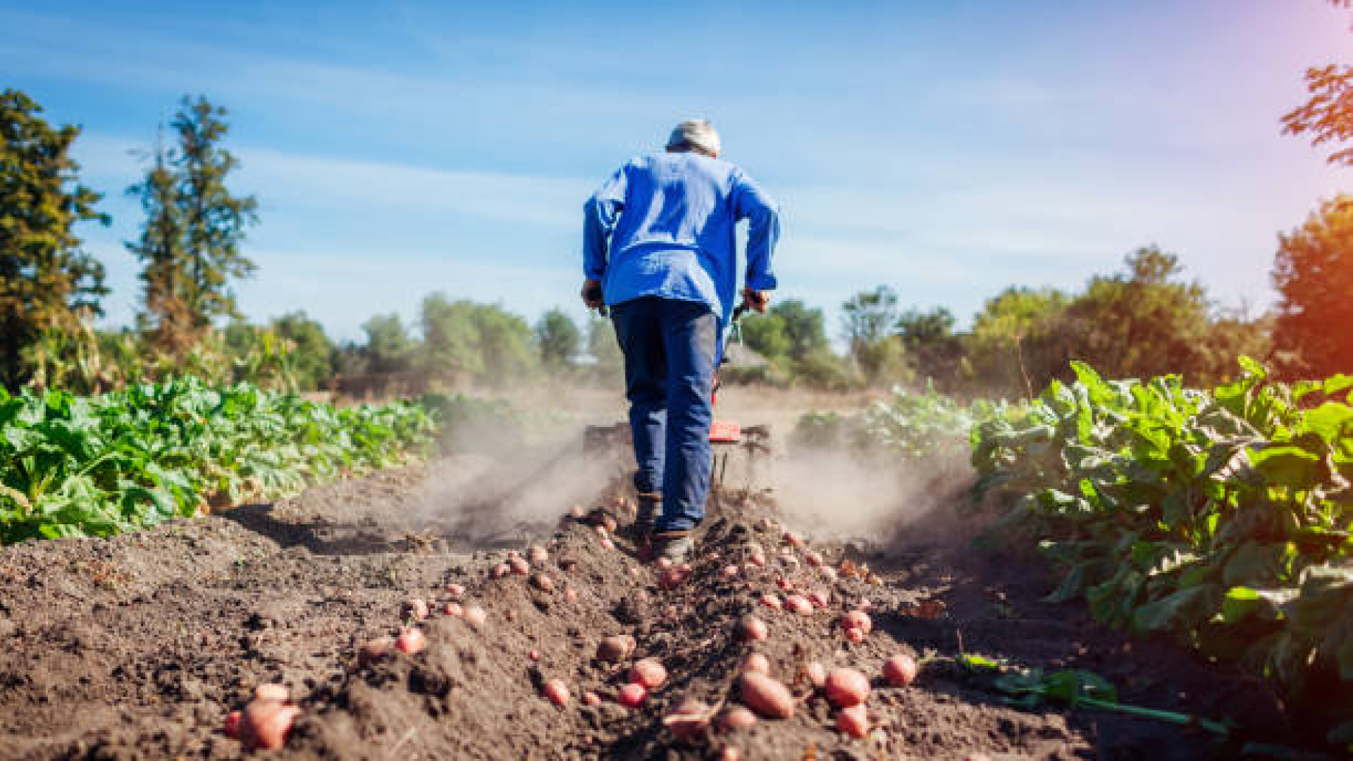 Aragón pierde cinco agricultores a la semana: "Si 