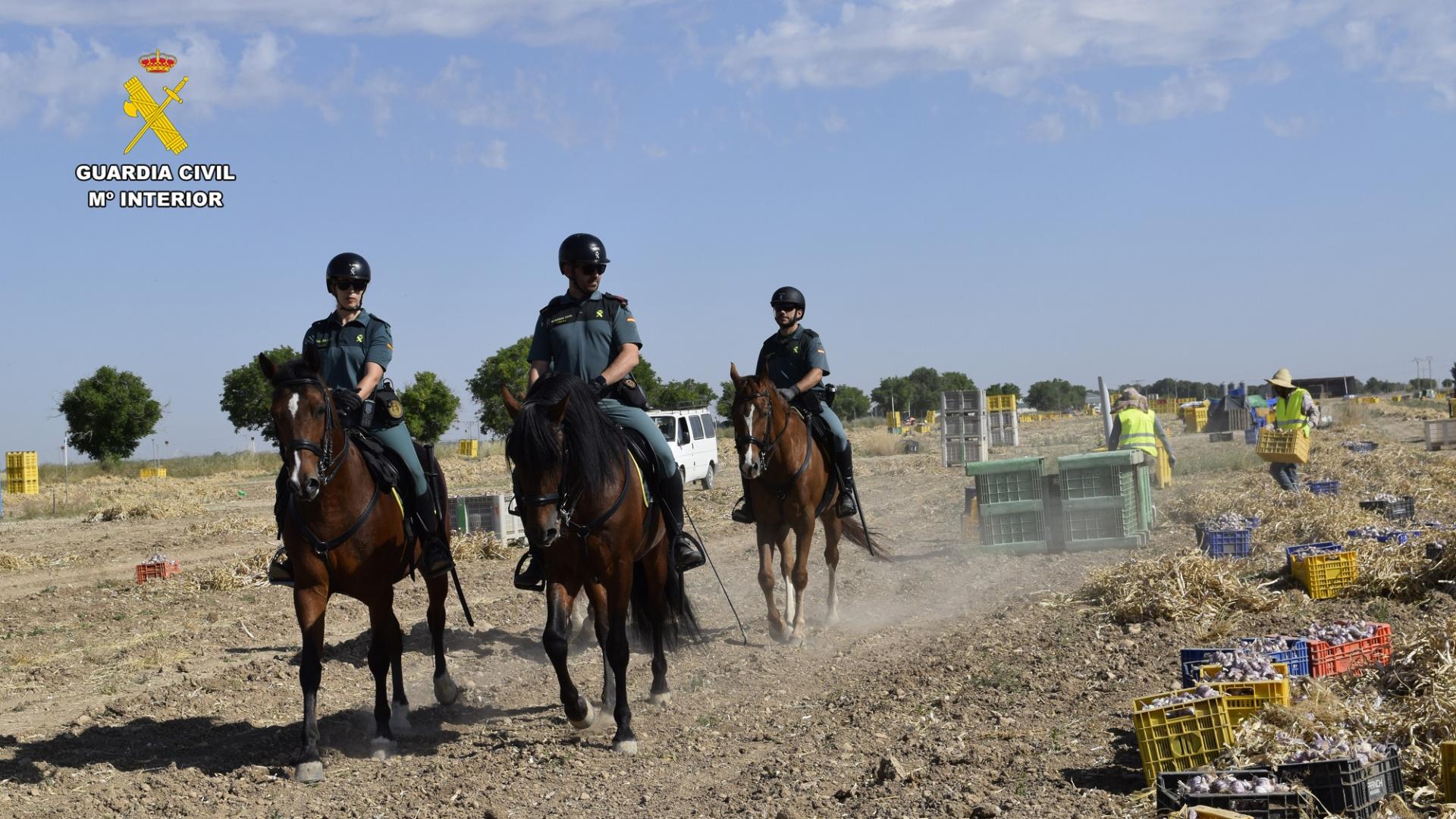 Un helicóptero y una unidad a caballo: así es el dispositivo