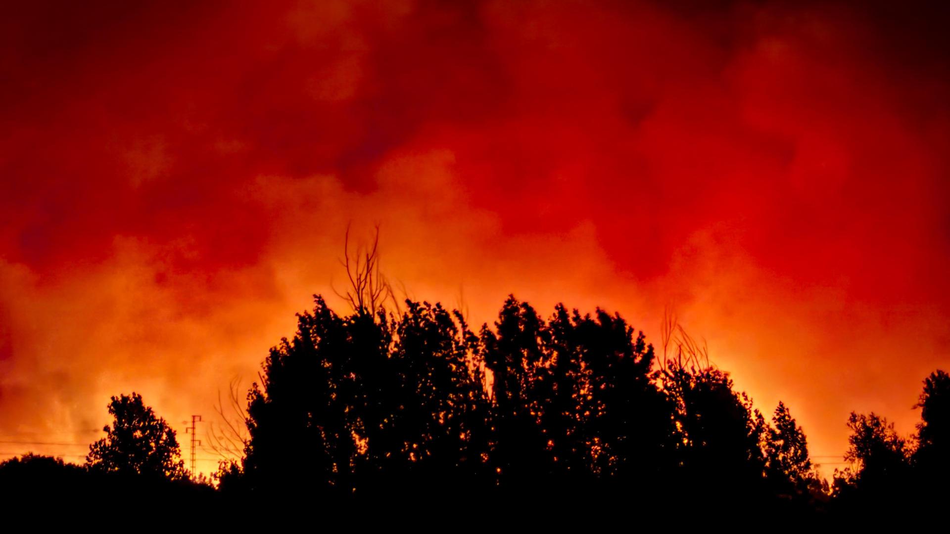 Dan por estabilizado el incendio forestal de Villanueva de l