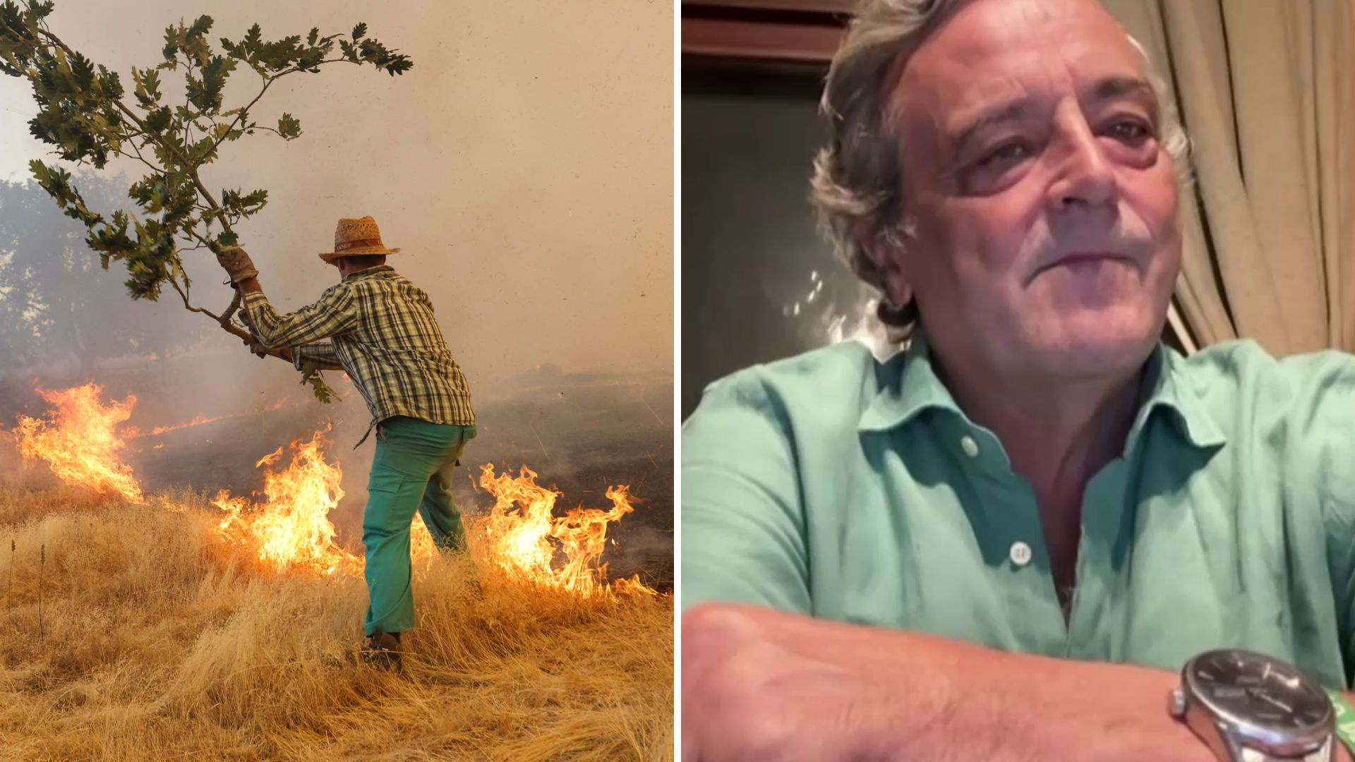 El desgarrador relato del dueño de una finca arrasada por el incendio de Ávila: "La parte que nos dejaron limpiar no se quemó; la que nos paralizaron está calcinada"