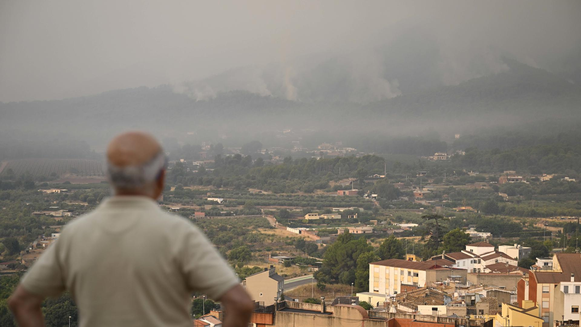 Un especialista en incendios forestales alerta: "Las restricciones entran dentro de una gestión forestal ordenada, pero también hay una sobrerregulación que habría que abordar"