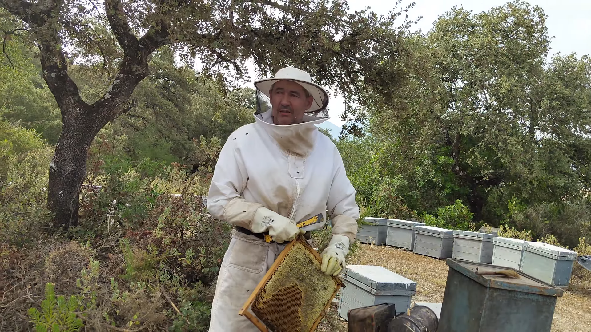 Cádiz Beekeeper José Manuel Says Honey Work Goes Unvalued