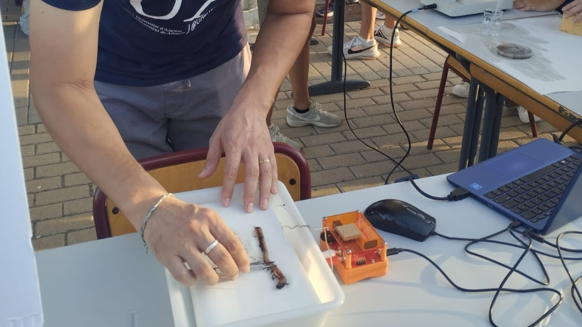 La Universidad de Alicante permite escuchar el cerebro de un gusano en la Noche Europea de la Investigación