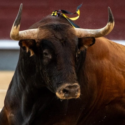 28 OCT 2025 | EL ALBERO | 05X14: VICTORIANO DEL RÍO, LA EXCELENCIA DE LA BRAVURA