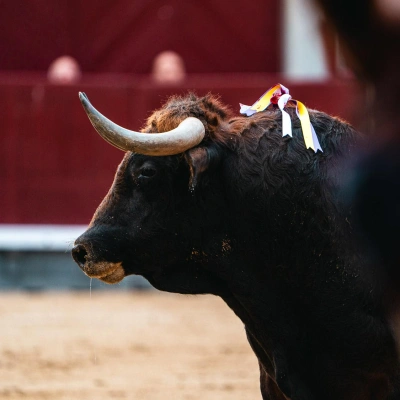 13X14: Cuadri no espera a nadie y abre el fuego en marzo | El Albero