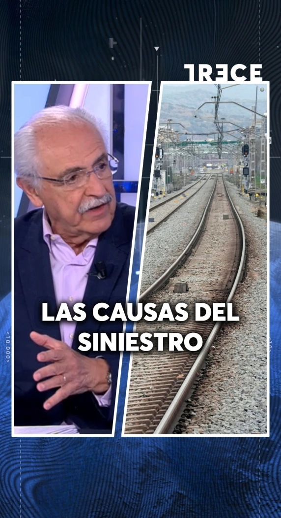 LAS CAUSAS DEL SINIESTRO
