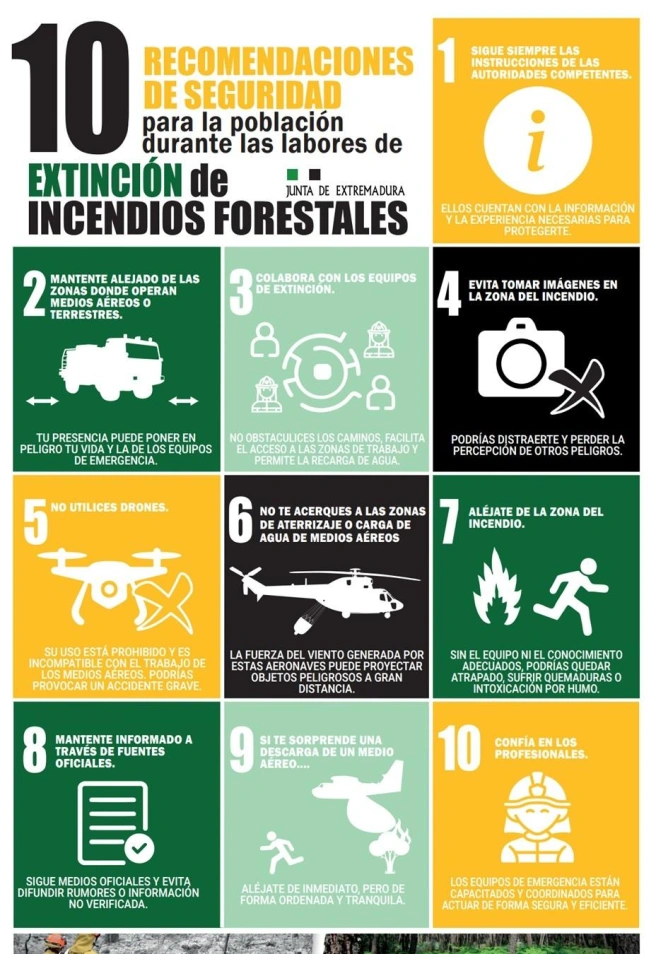 Decálogo del INFOEX