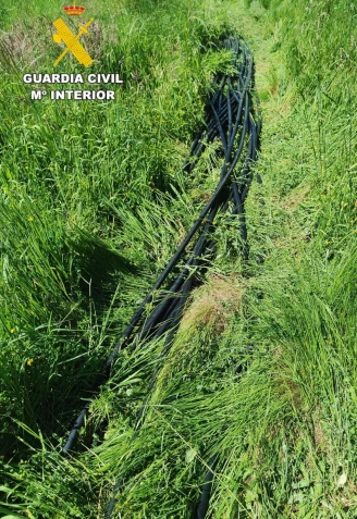 Imagen del cable que los ladrones ocultaron entre la maleza en Deixebre (Oroso)