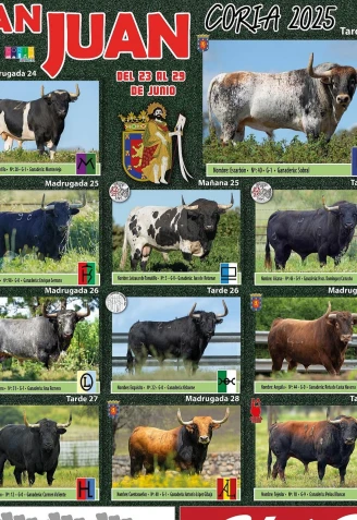 Cartel de los toros de San Juan 2025